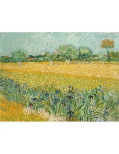 Campo con lirios cerca de Arles