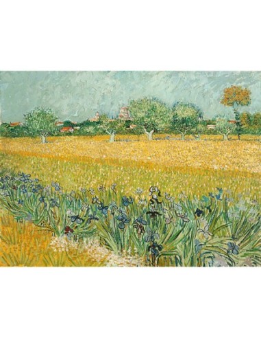 Campo con lirios cerca de Arles