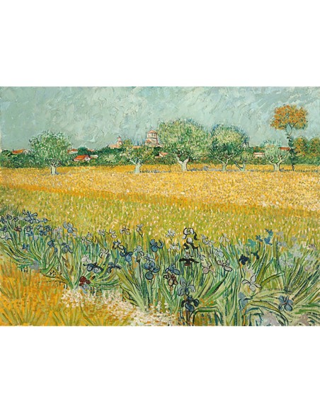 Campo con lirios cerca de Arles