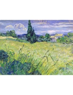 Paisaje con maíz verde