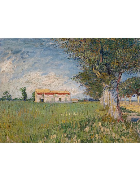 Boerderij in een korenveld