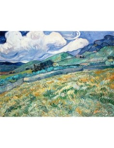 Paisaje de Saint-Remy