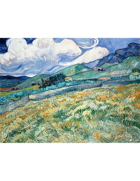 Paisaje de Saint-Remy