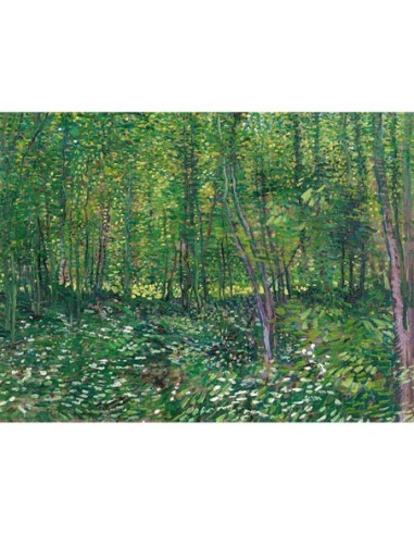 Árboles y sotobosque