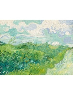 Campos de trigo verde, Auvers