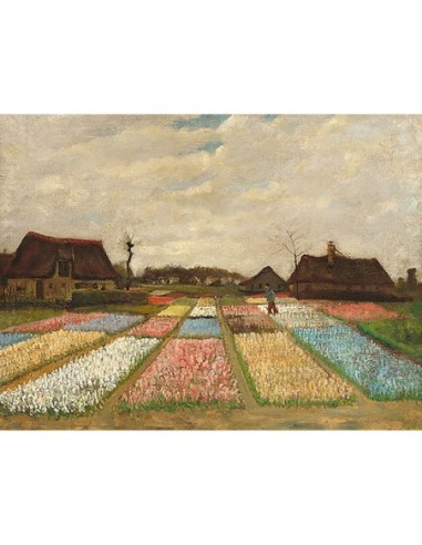 Macizos de flores en Holanda