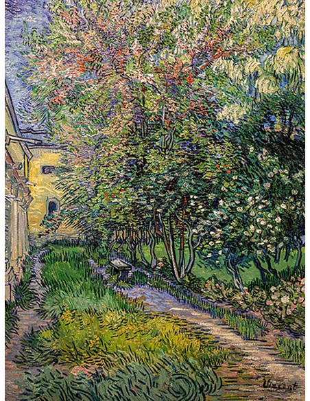 El jardín del asilo de Saint-Rémy