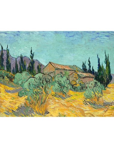 Cabanes de bois parmi les olives et cypre?s