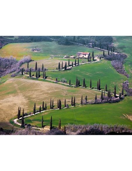 Carretera cerca de Montepulciano, Toscana, Italia