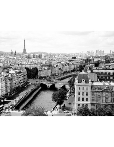 Vista de París y el río Sena