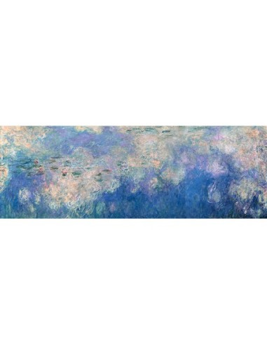 Nenúfares: Las nubes (detalle)