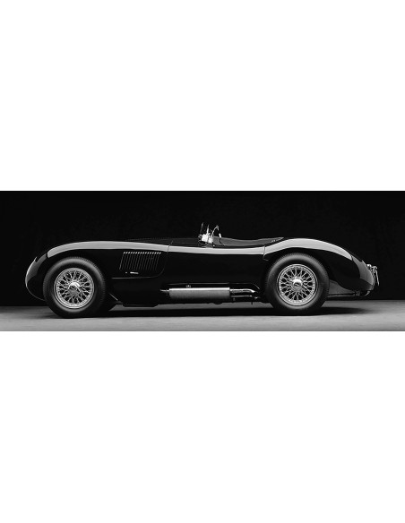 Jaguar C-Type (BW) de 1951