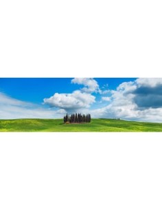 Cipreses, Val d'Orcia, Toscana