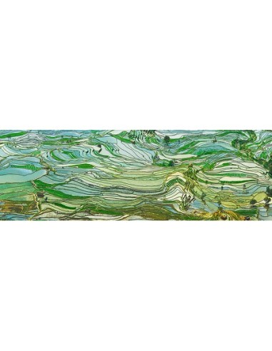 Terrazas de arroz, Yunnan, China