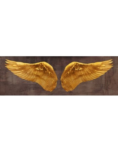 Alas de ángel (Oro I)