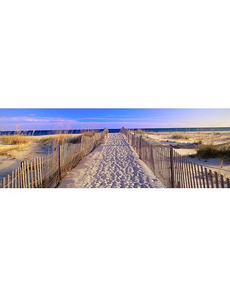 Camino a la playa, Florida