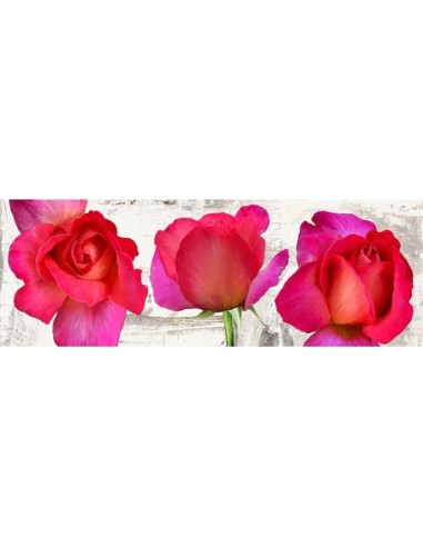 Rosas de primavera