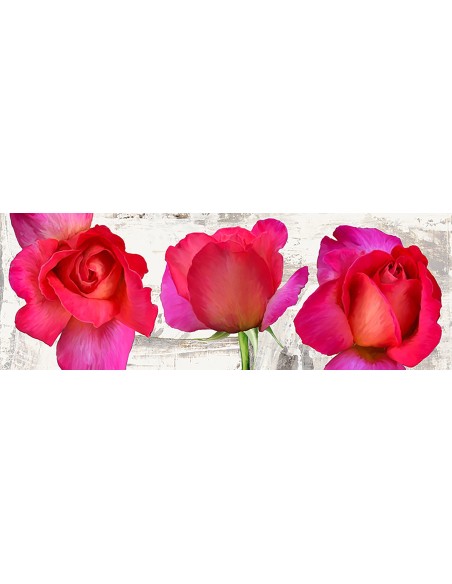 Rosas de primavera