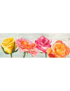 Rosas divertidas