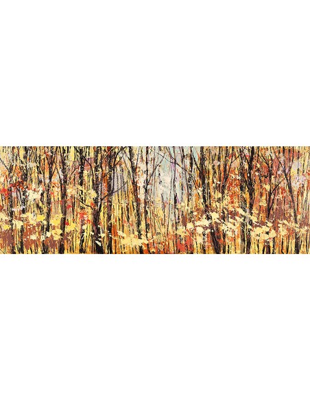 En el bosque soleado