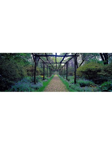 Sendero del jardín, Old Westbury Gardens, Long Island
