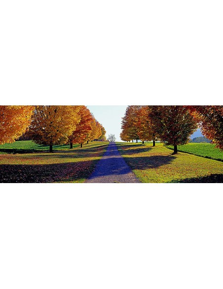 Autumn Road, Storm King Mountain, Nueva York