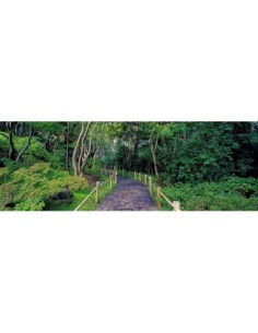 Paseo del Jardín de Té, Jardín Botánico de San Francisco