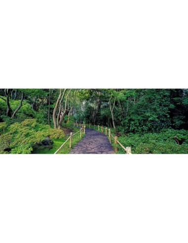 Paseo del Jardín de Té, Jardín Botánico de San Francisco