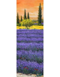 Tarde entre la lavanda