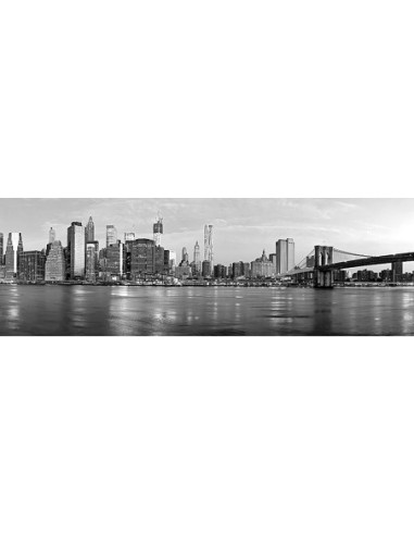 Manhattan y el puente de Brooklyn, Nueva York