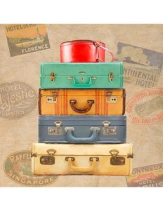 Equipaje para hombre II