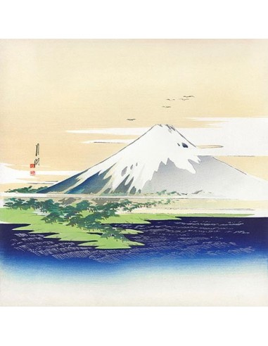 Fuji, 1900-1910