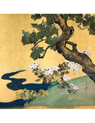 Paulownias y crisantemos