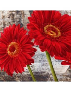 Gerberas rojas I