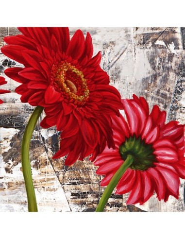 Gerberas rojas III