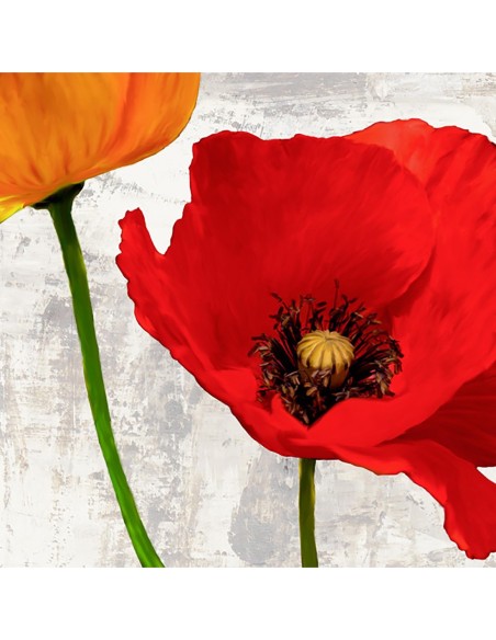 Amapolas de verano I