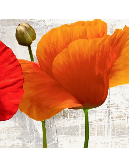 Amapolas de verano II