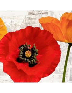 Amapolas de verano III