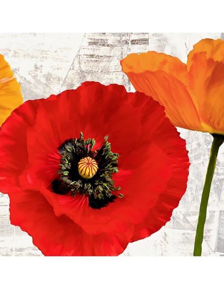 Amapolas de verano III