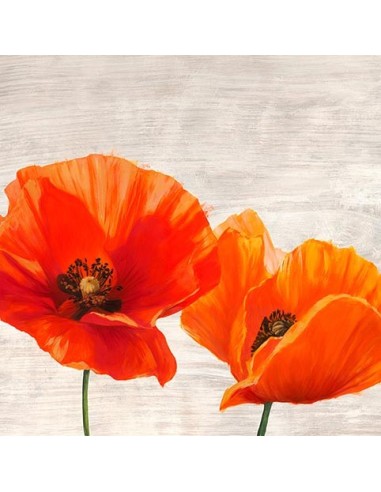 Amapolas brillantes I