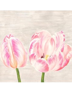 Tulipanes clásicos I