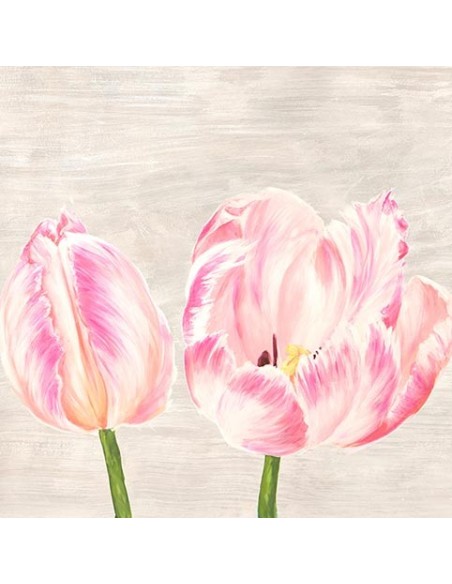 Tulipanes clásicos I