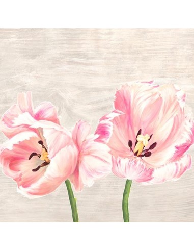 Tulipanes clásicos II