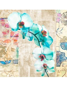 Orquídea caleidoscopio II (detalle)