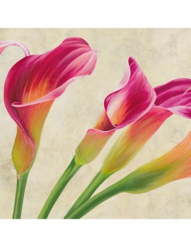 Desfile de calas (detalle)