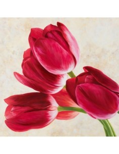 Concierto de tulipanes (detalle)