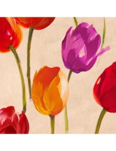 Tulip Funk (detalle)