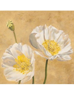 Amapolas sobre oro I