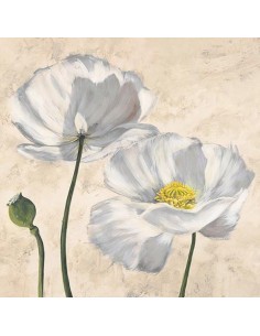 Amapolas en blanco I