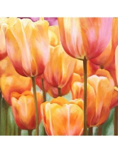 Tulipanes de primavera II